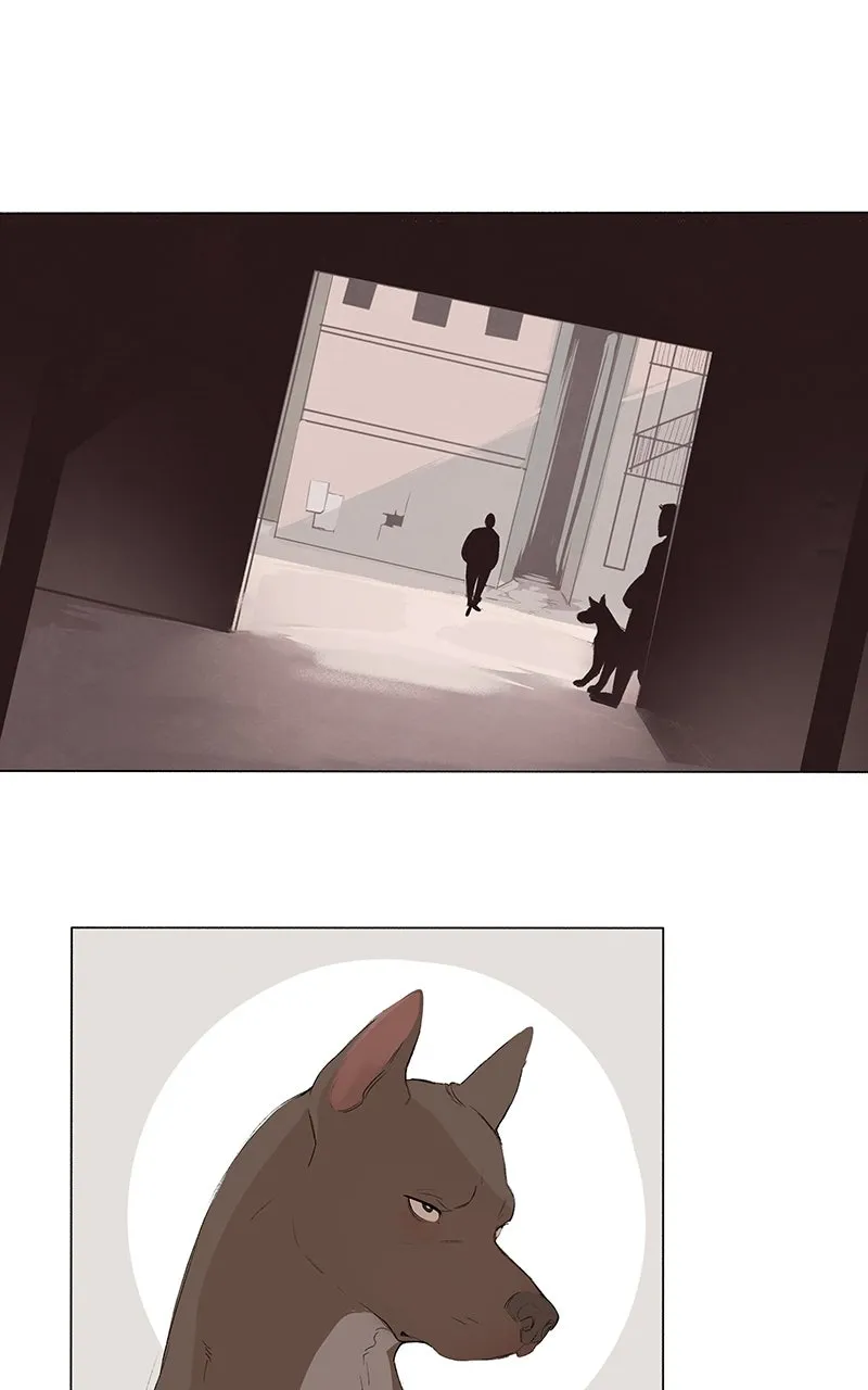 Distress Chapter 13 page 43 - 