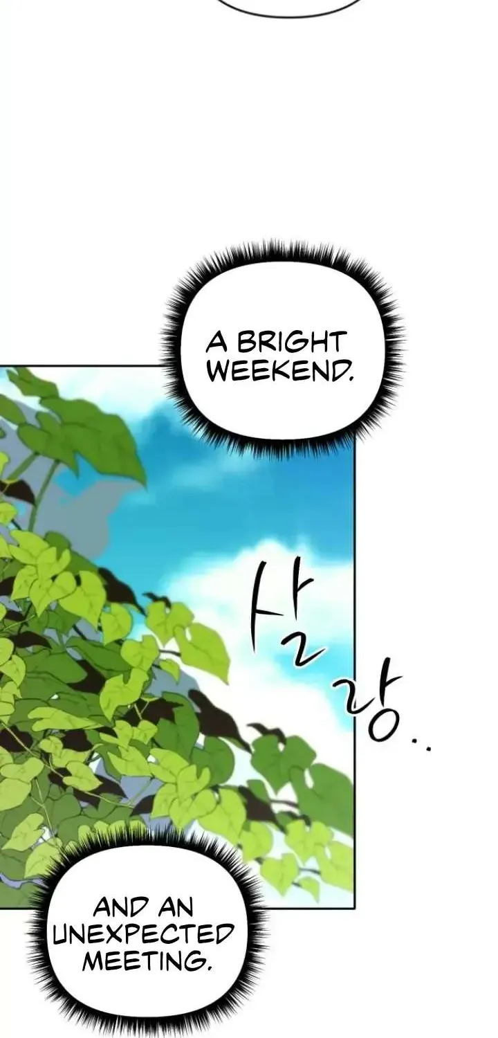 Divorce Is Easy, But Love Is Hard Chapter 11 page 84 - 