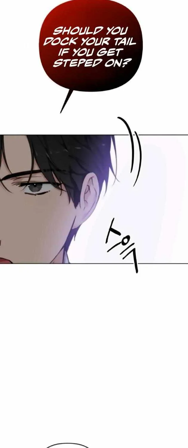 Divorce Is Easy, But Love Is Hard Chapter 15 page 57 - 