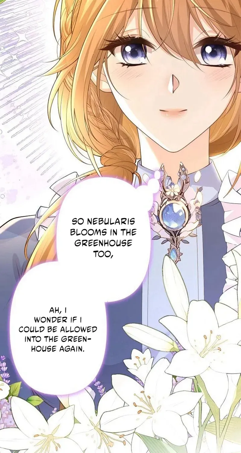 Divorce was the plan, but the prince won