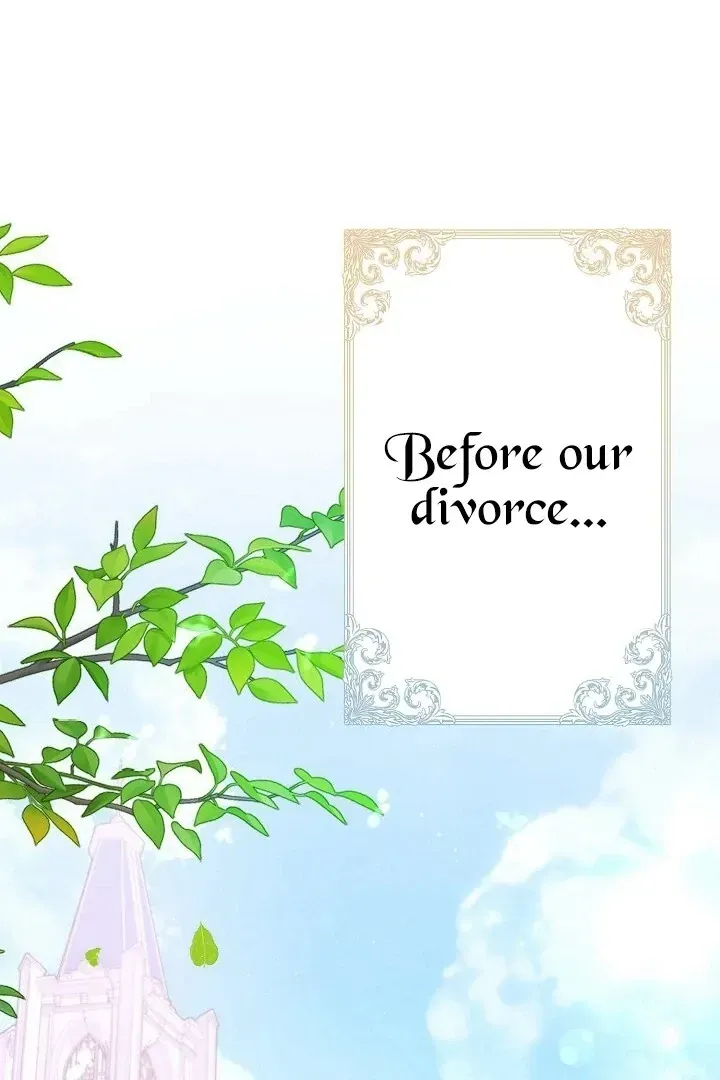 Divorce was the plan, but the prince won