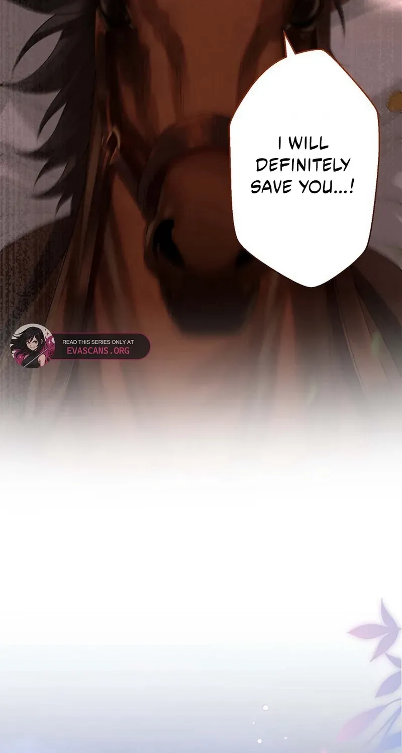 Divorce was the plan, but the prince won