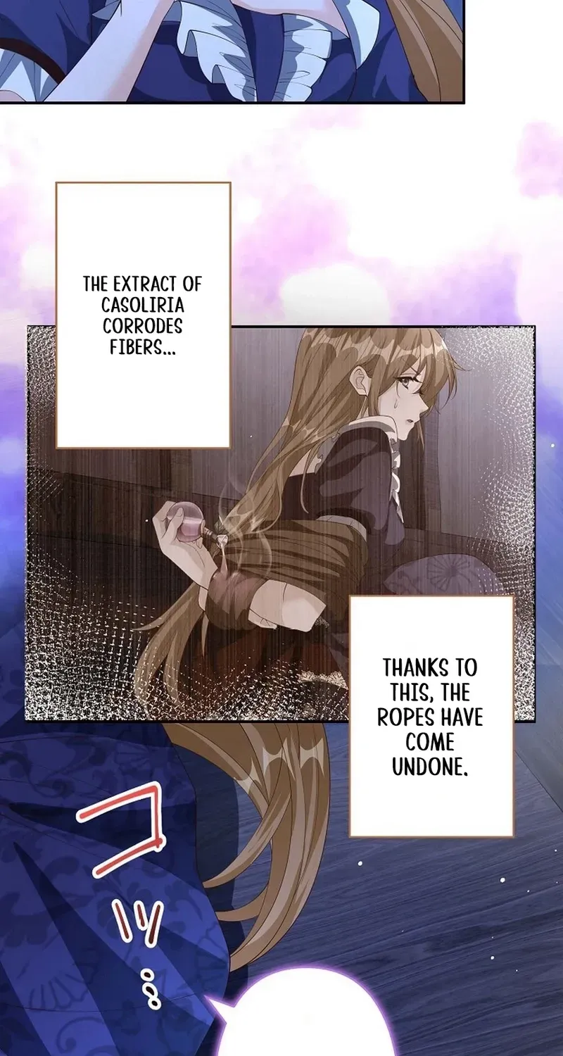Divorce was the plan, but the prince won