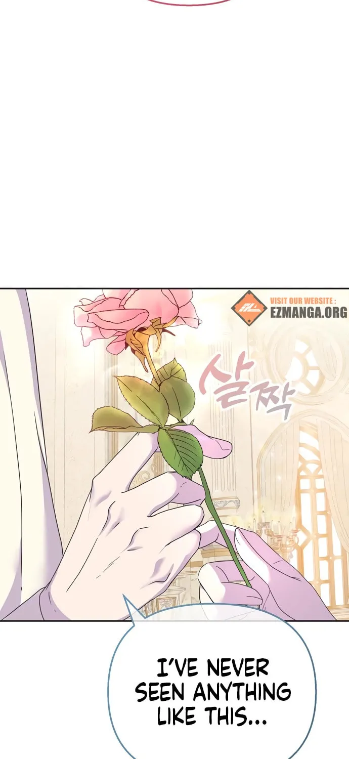 Divorce Will Be Completed in 3 Seconds Chapter 13 page 61 - 