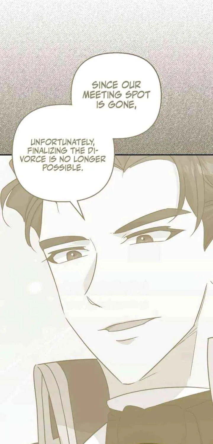 Divorce Will Be Completed in 3 Seconds Chapter 50 page 45 - 