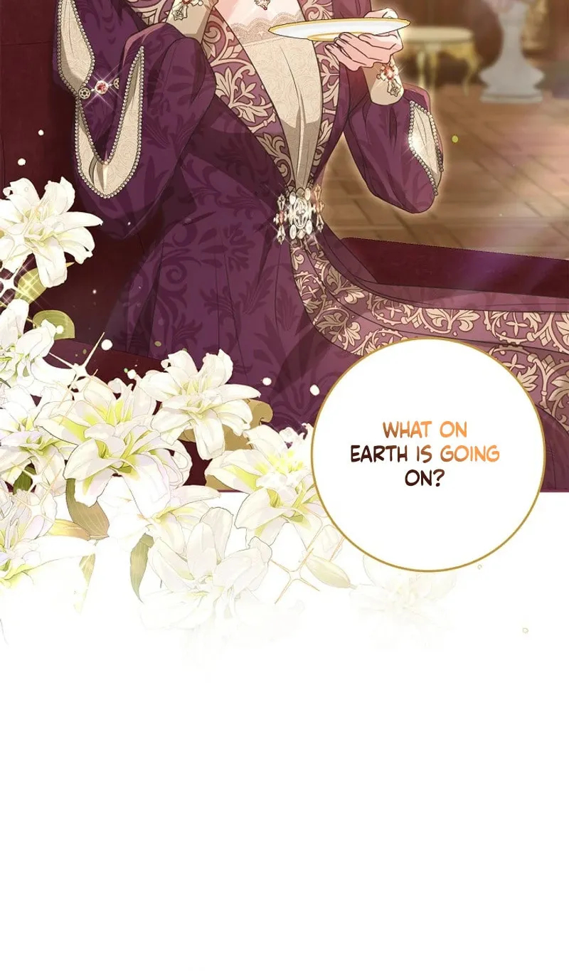 Do All Mothers in Childcare Novels have to Die? Chapter 14 page 35 - 