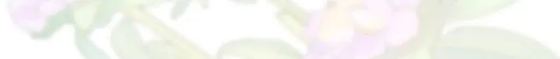 Do All Mothers in Childcare Novels have to Die? Chapter 20 page 37 - 
