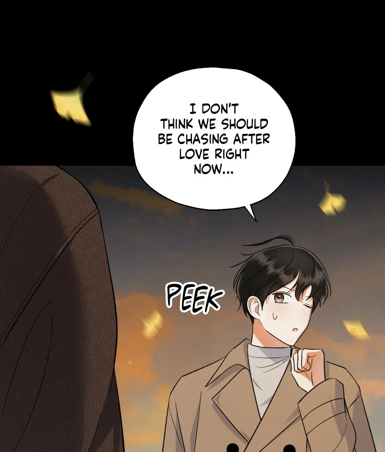 Do It for the Fans, Not Me! Chapter 30 page 47 - 