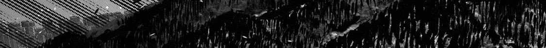 Dogs and the Brave Are Not Showy Chapter 17 page 30 - 