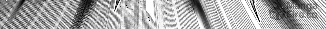 Dogs and the Brave Are Not Showy Chapter 21 page 42 - 