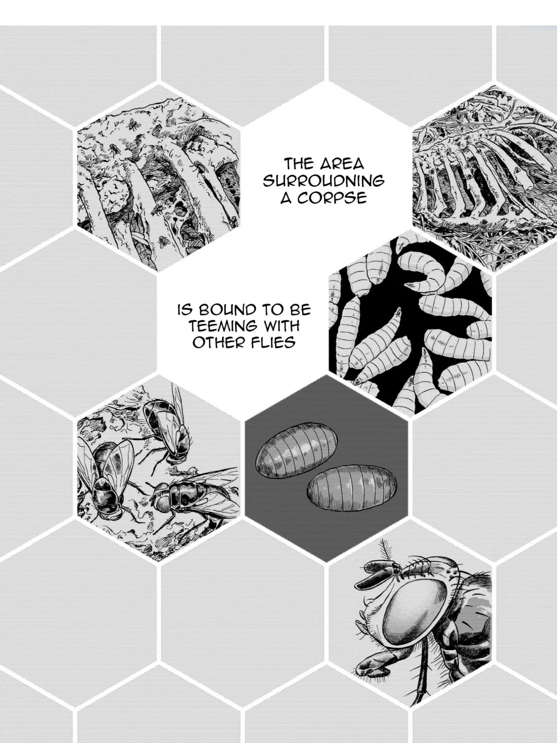 Doku Doku Mori Mori Chapter 16 page 43 - 