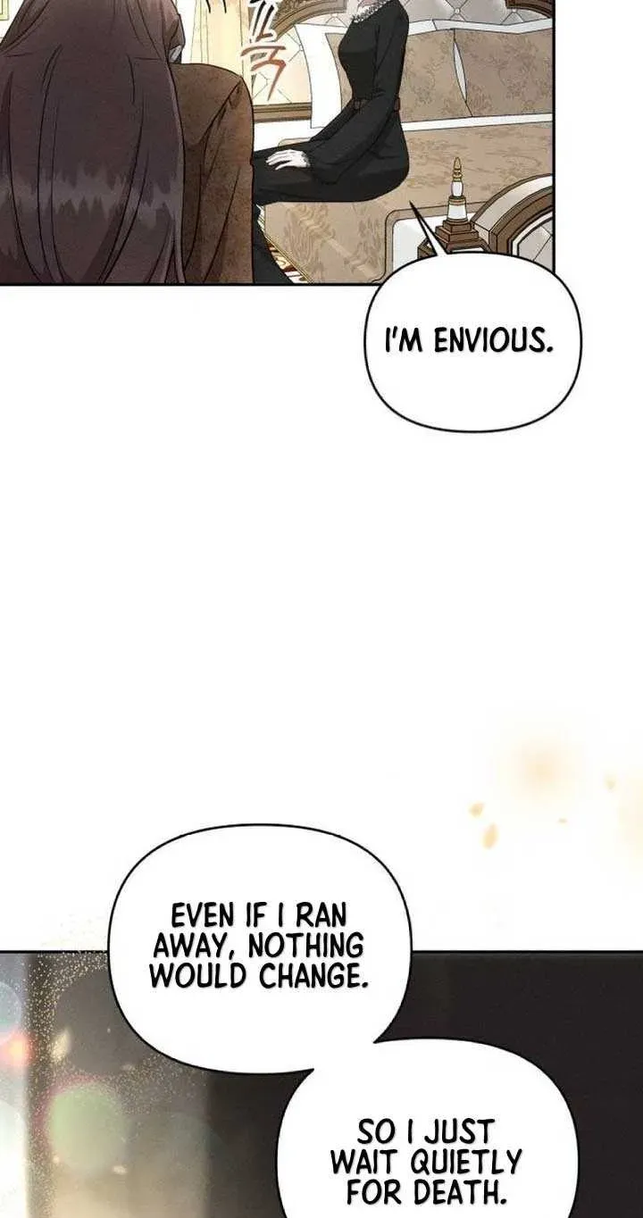 Don