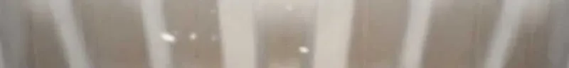 Don