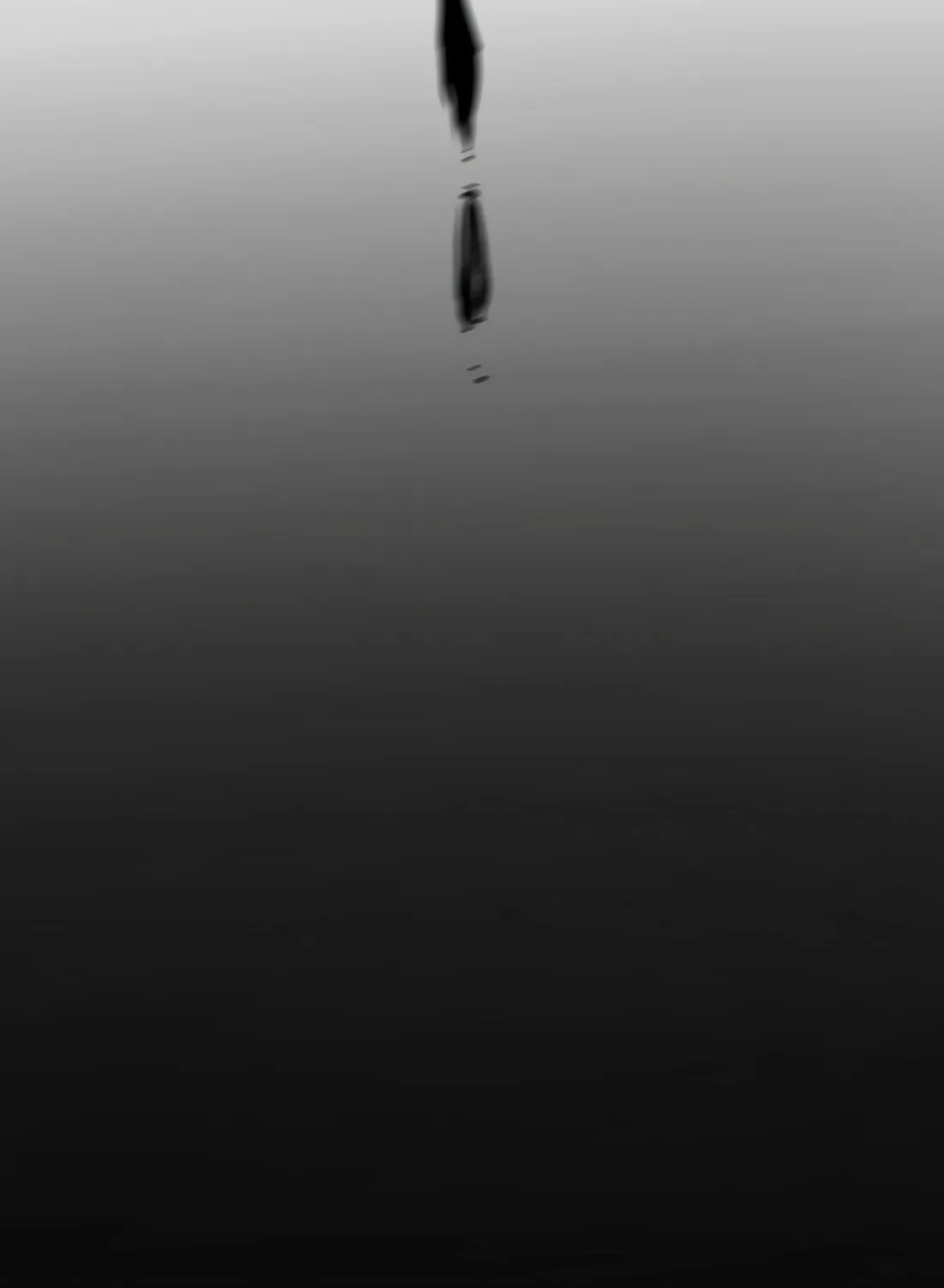 Don