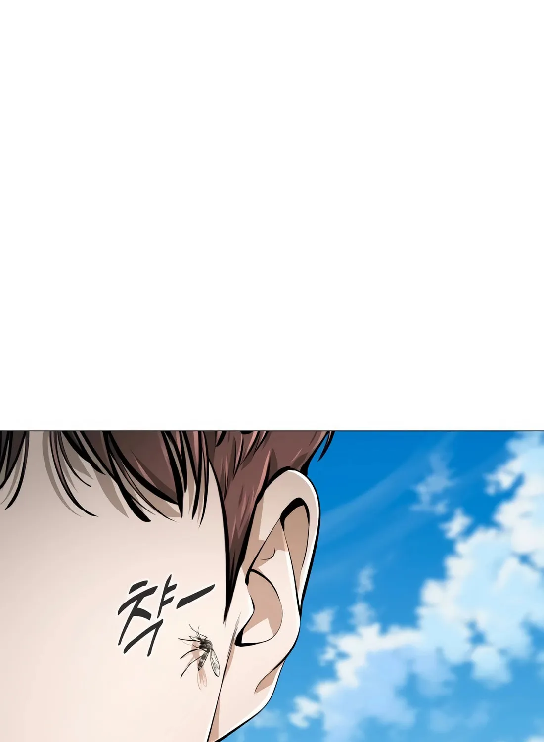 Don