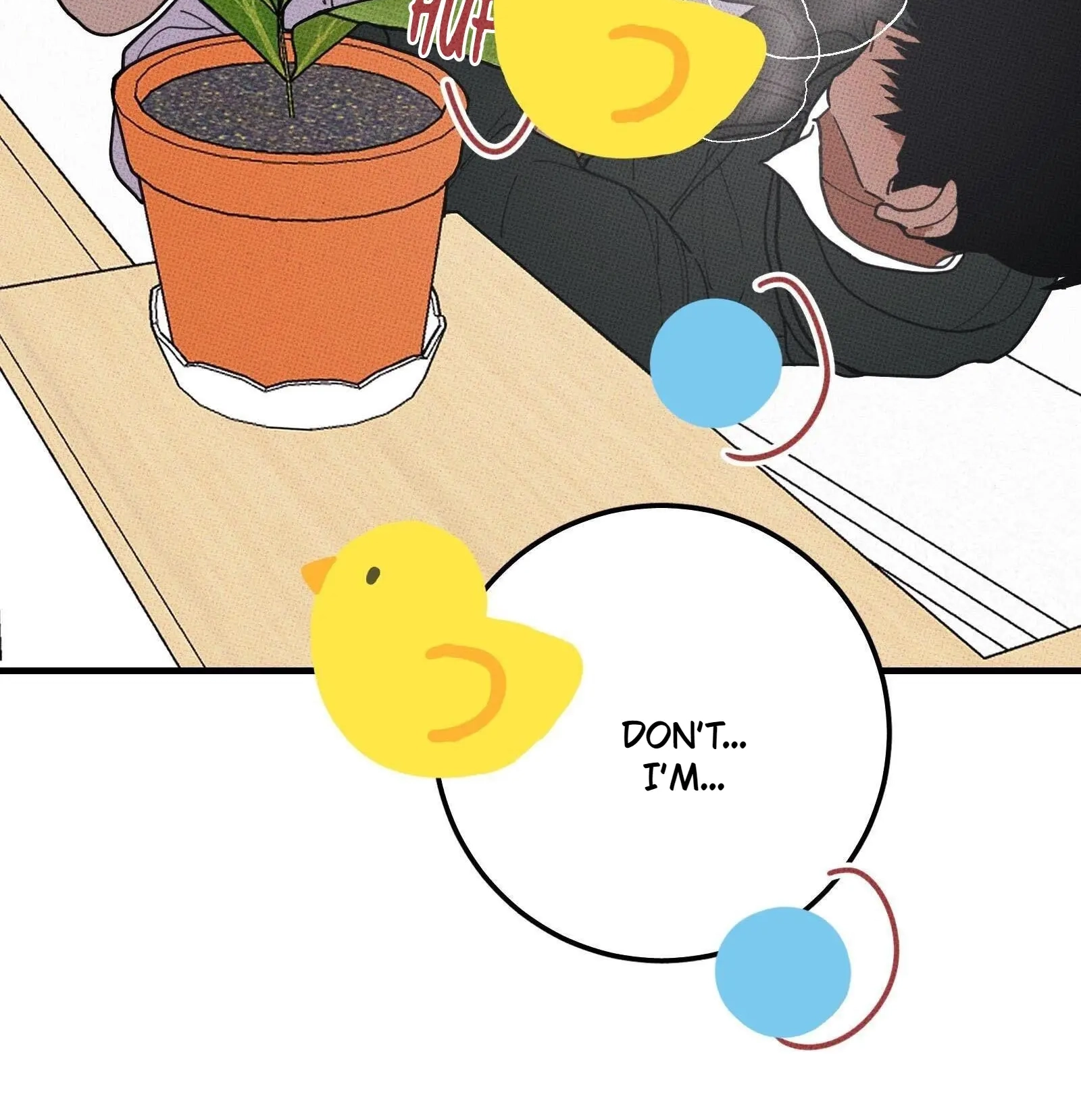 Don
