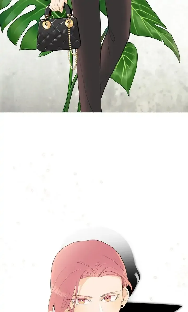 Don