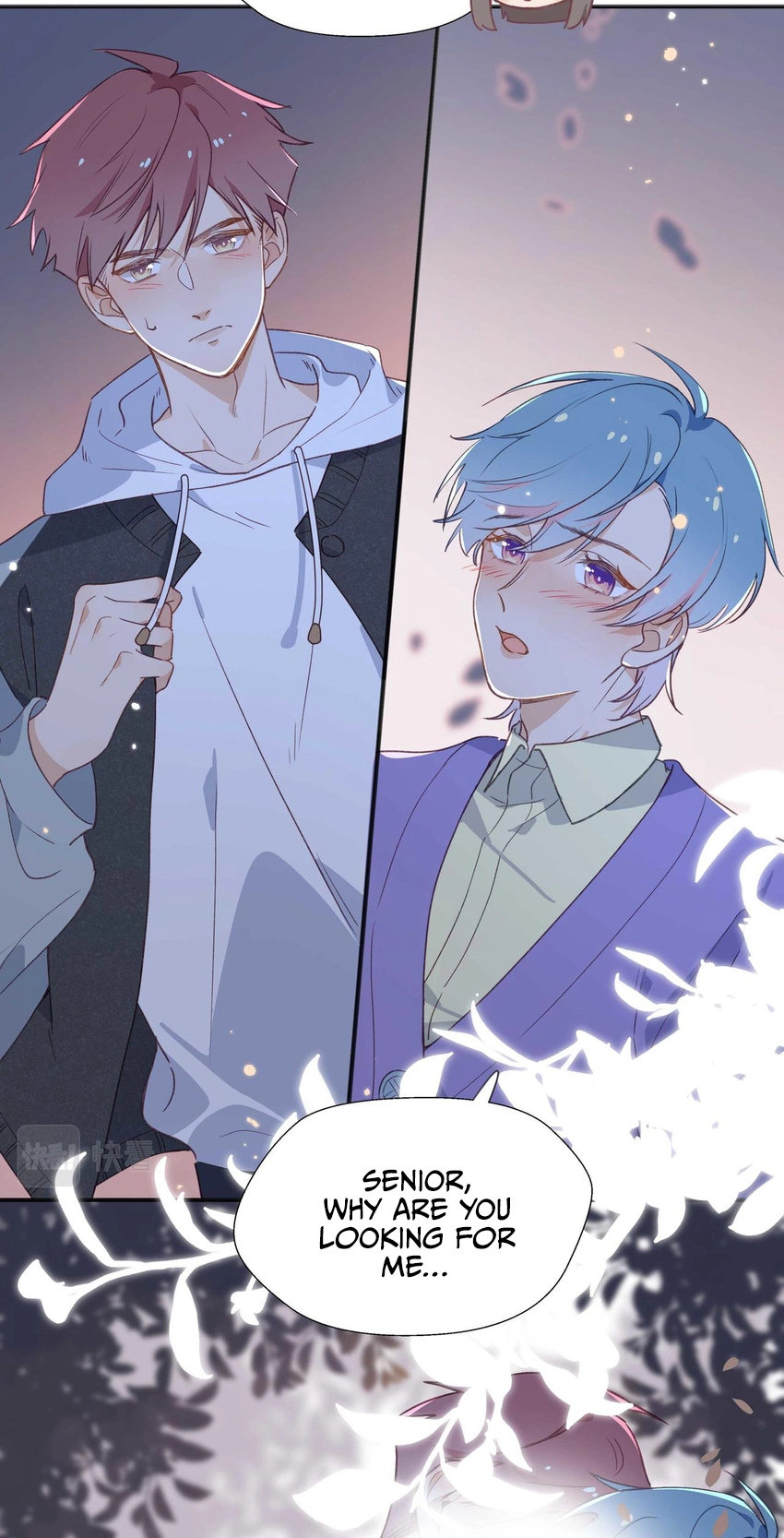 Don