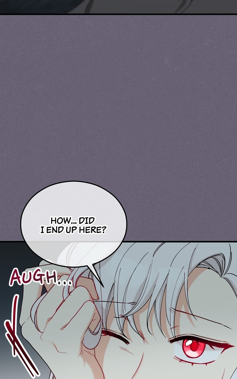 Don
