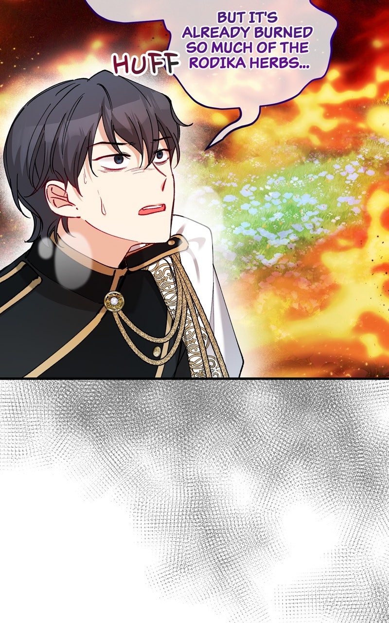 Don