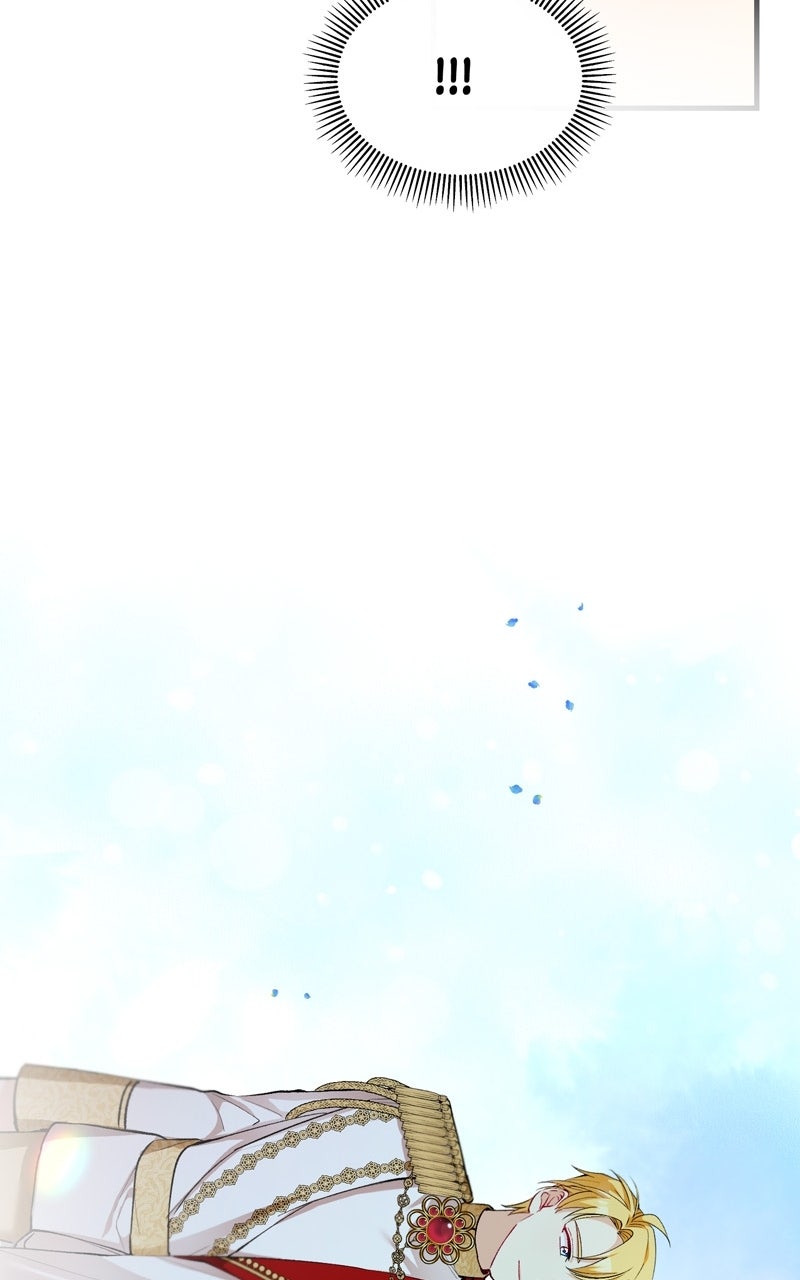 Don