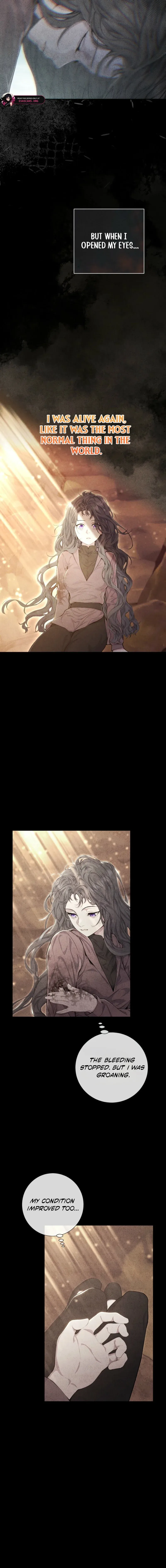 Don