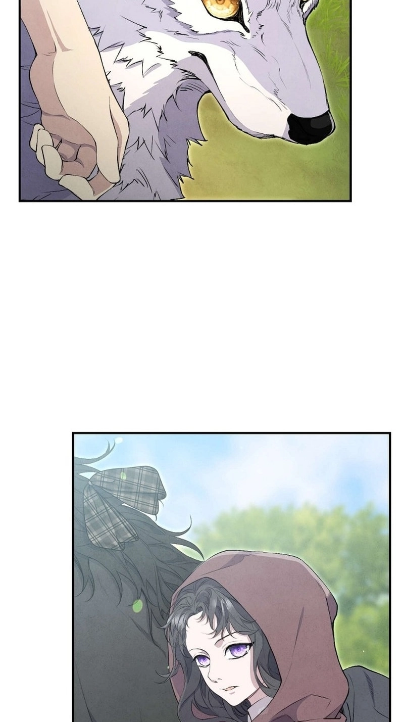 Don