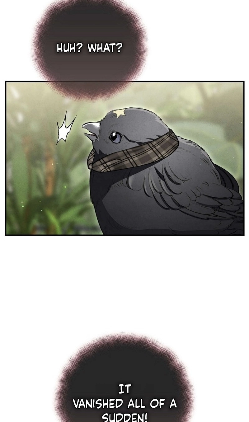 Don