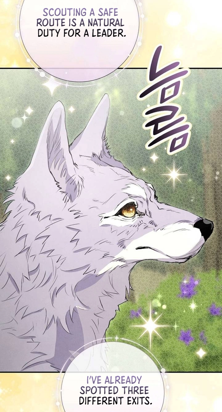 Don
