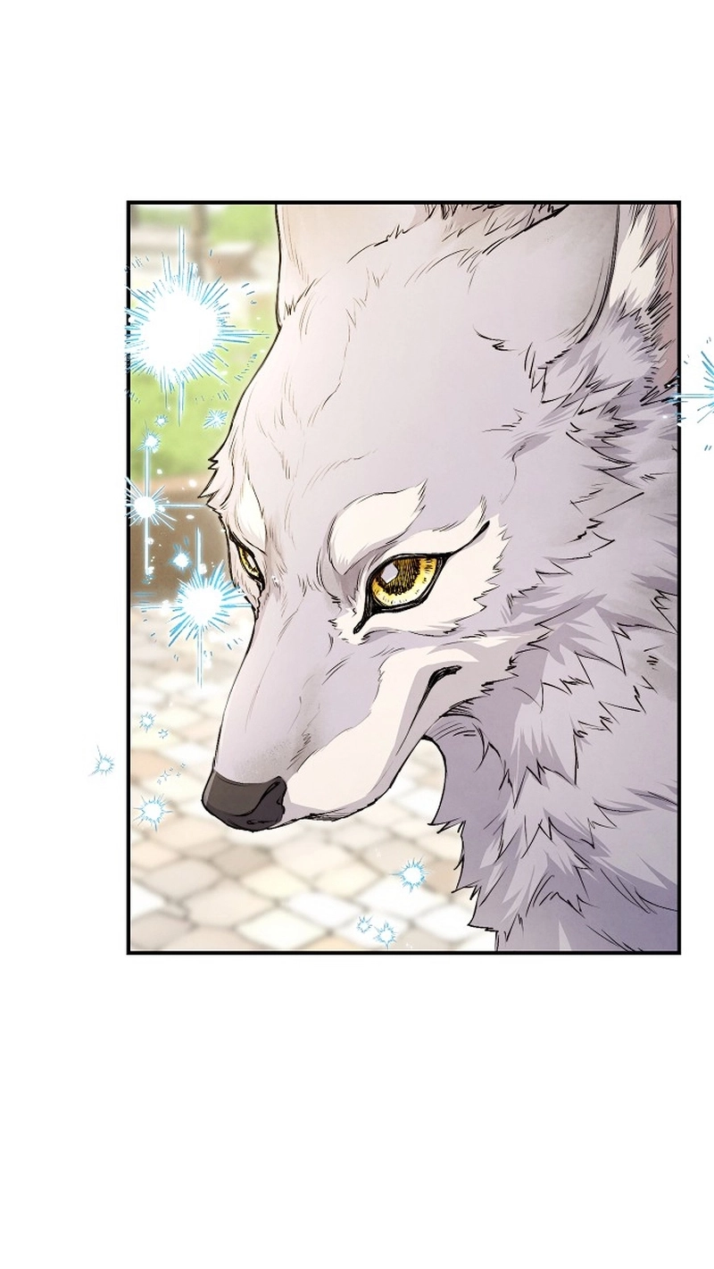 Don