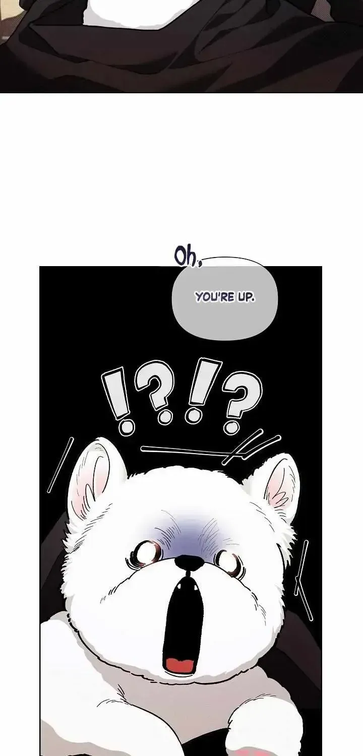 Don