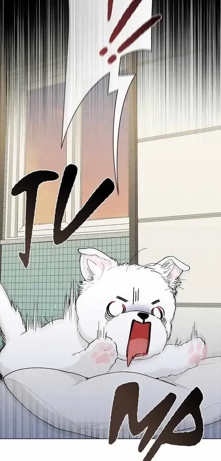 Don