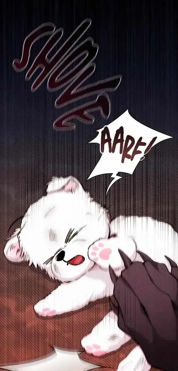 Don