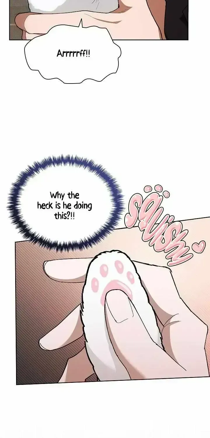 Don