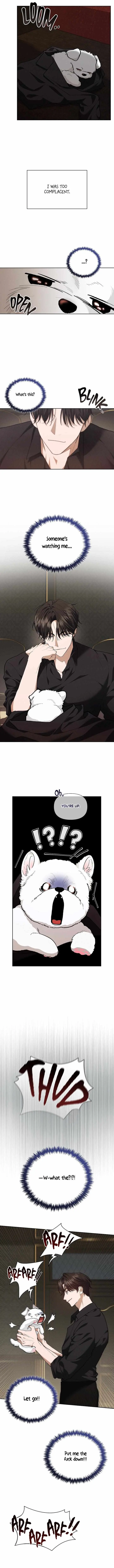 Don