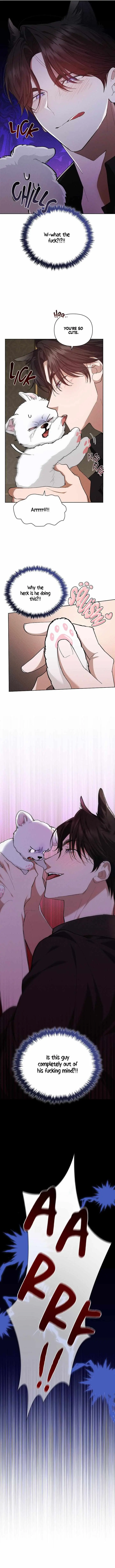 Don