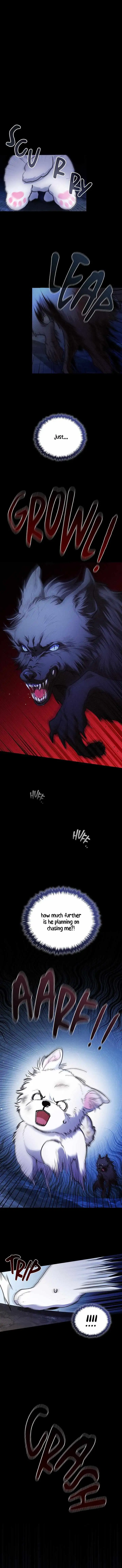 Don