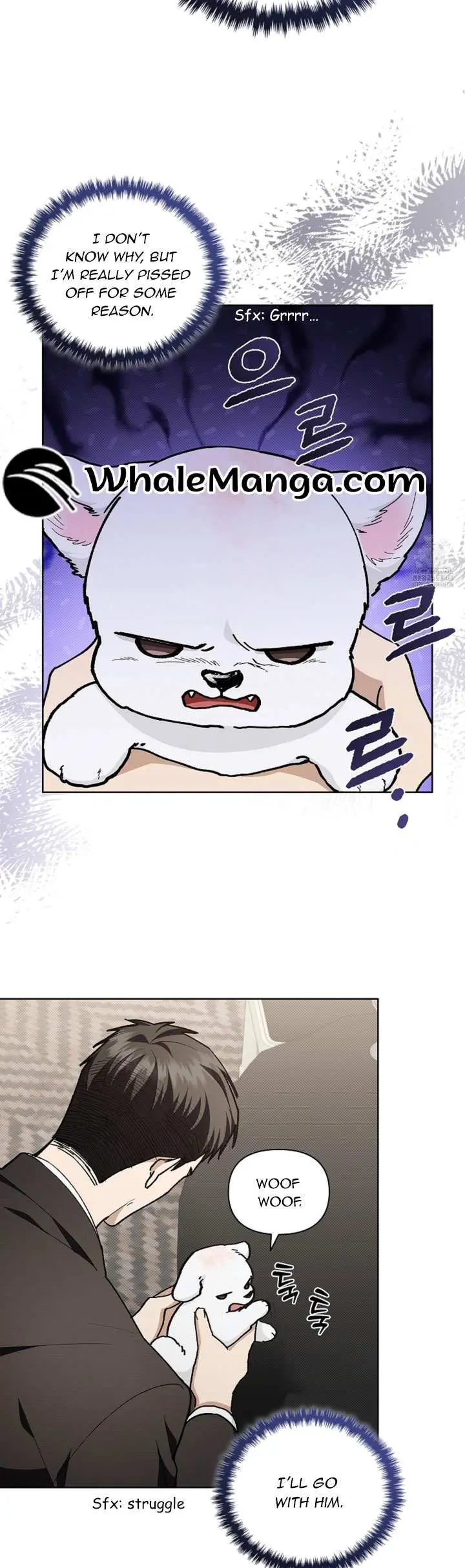 Don