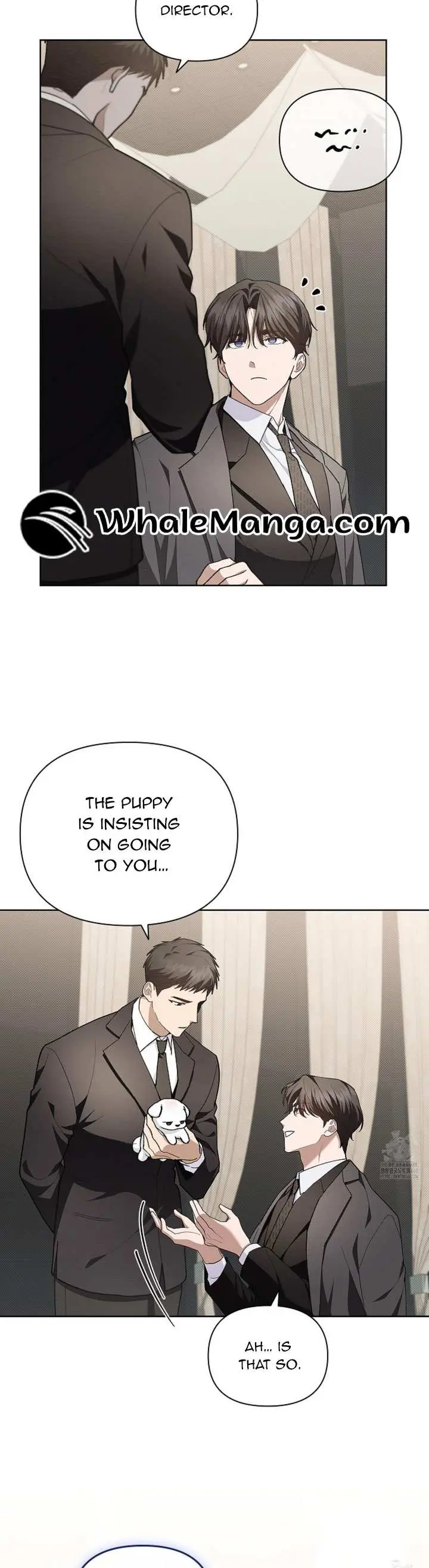 Don