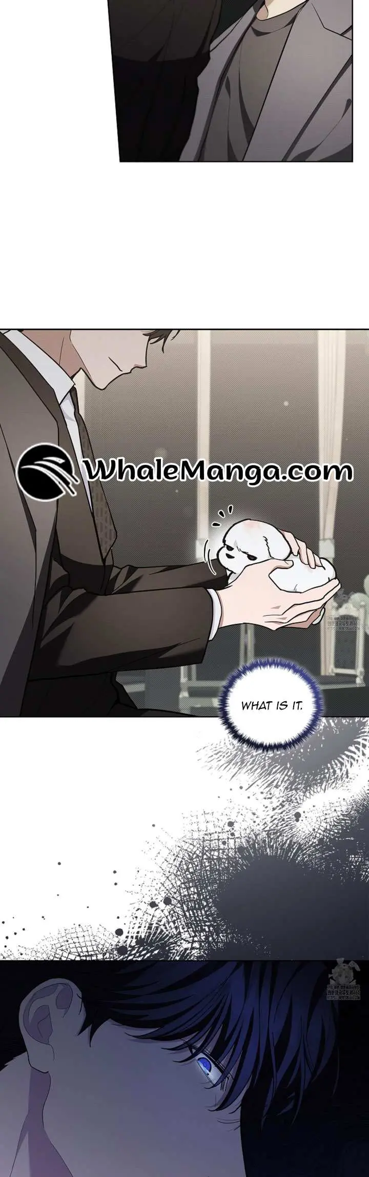 Don