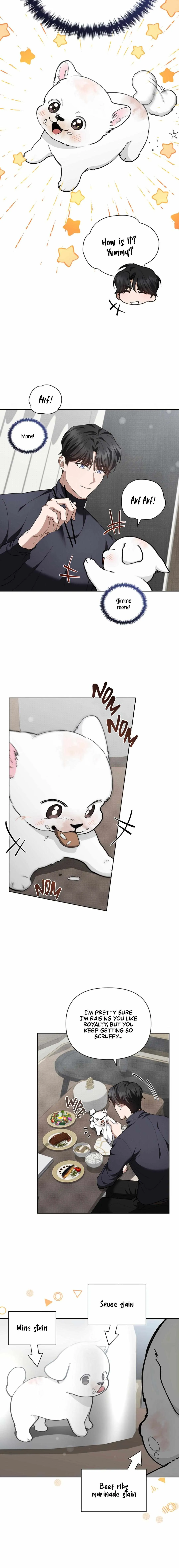 Don