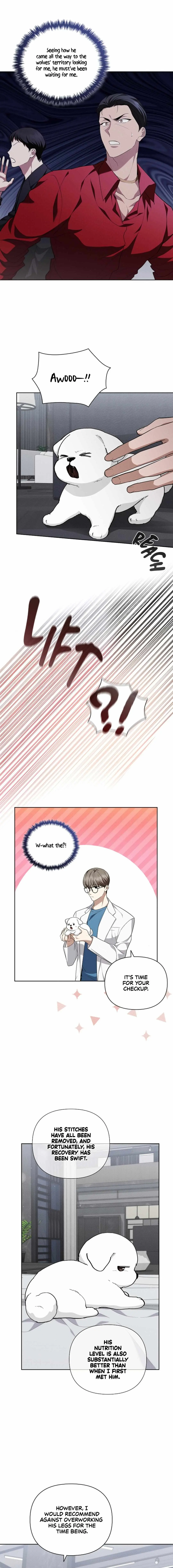 Don