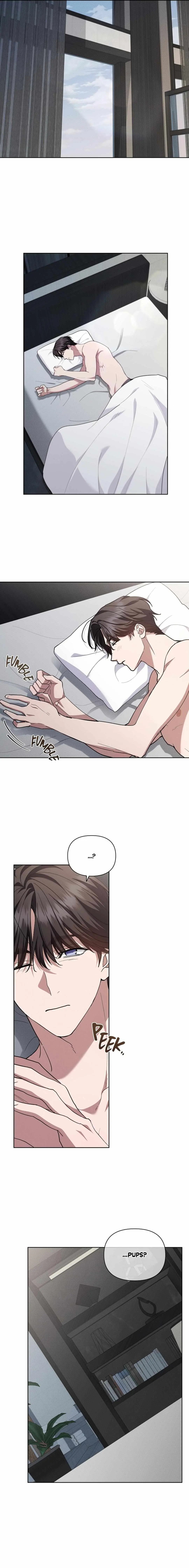 Don