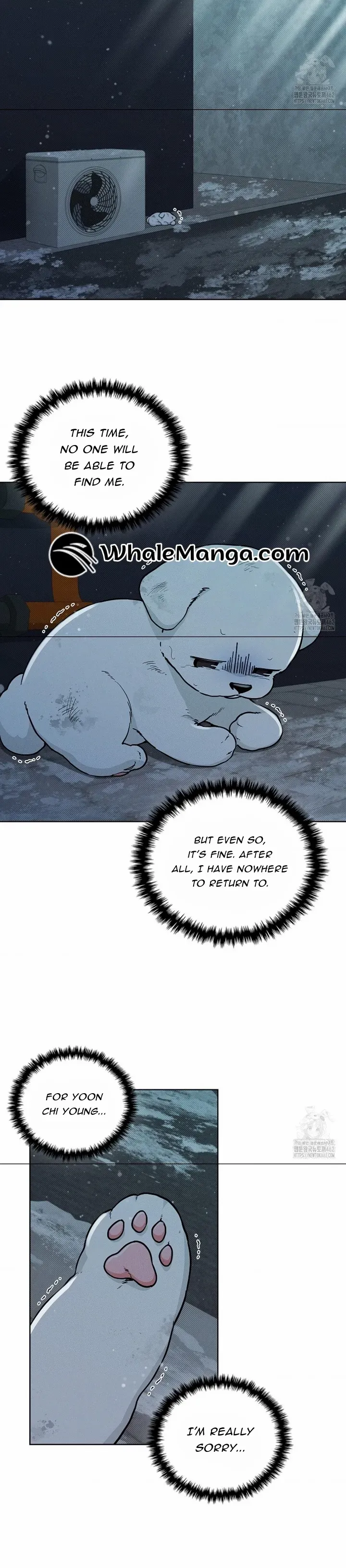 Don