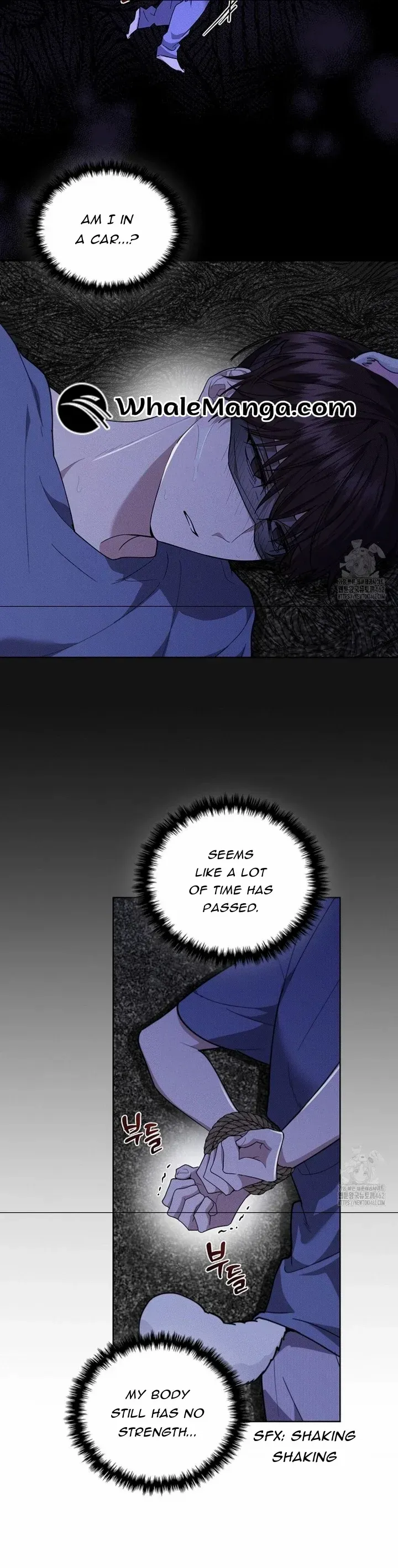 Don