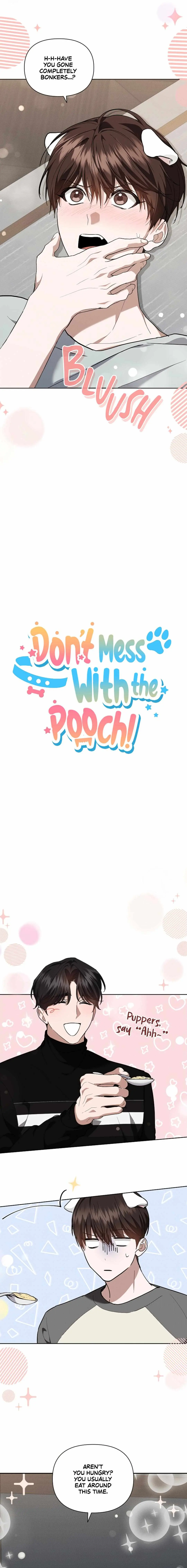 Don