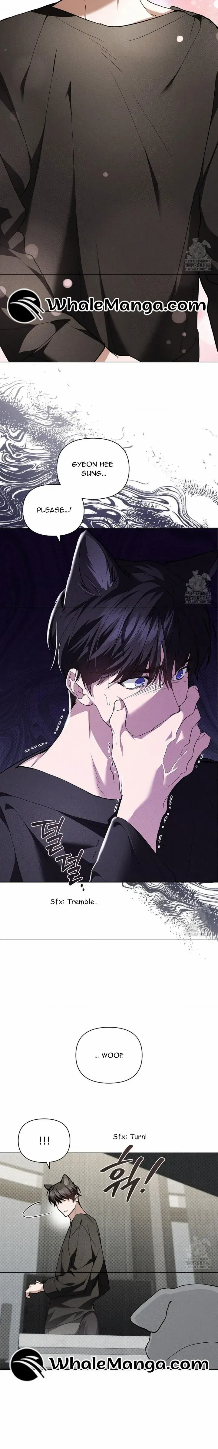 Don