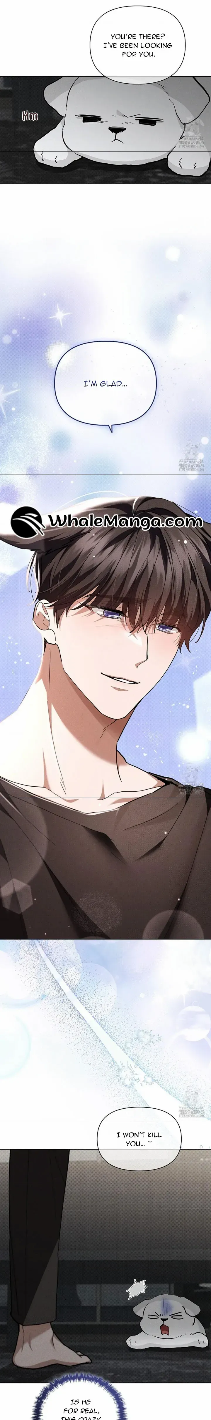 Don