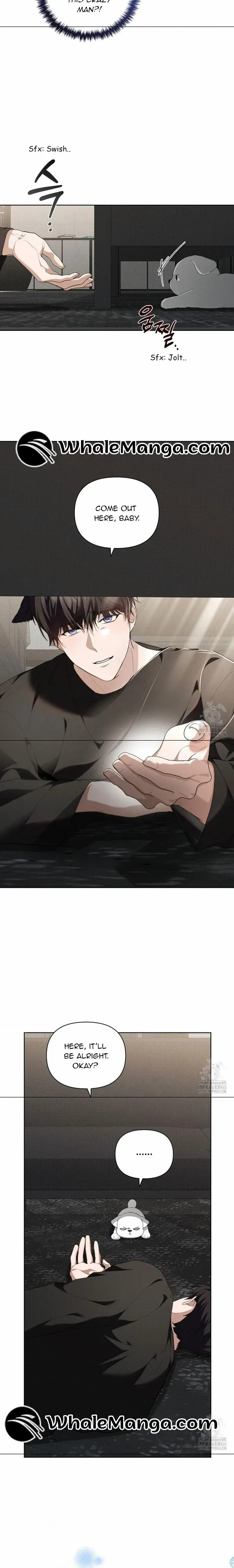Don