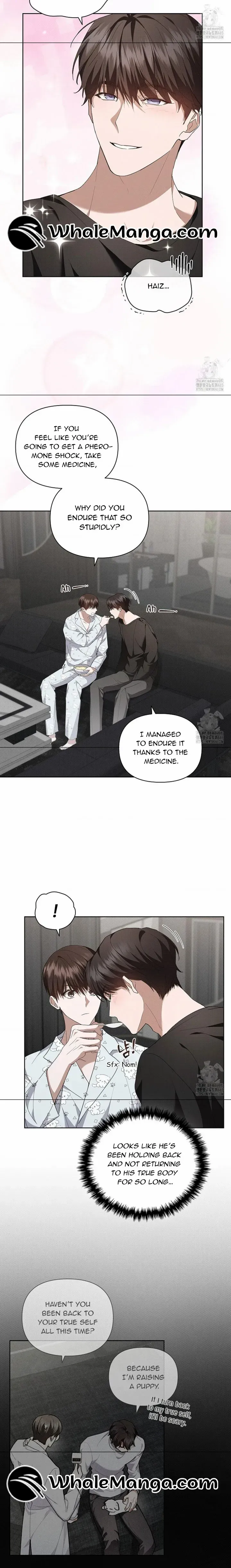 Don